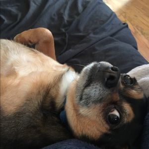 Meet your Posher, Carrie